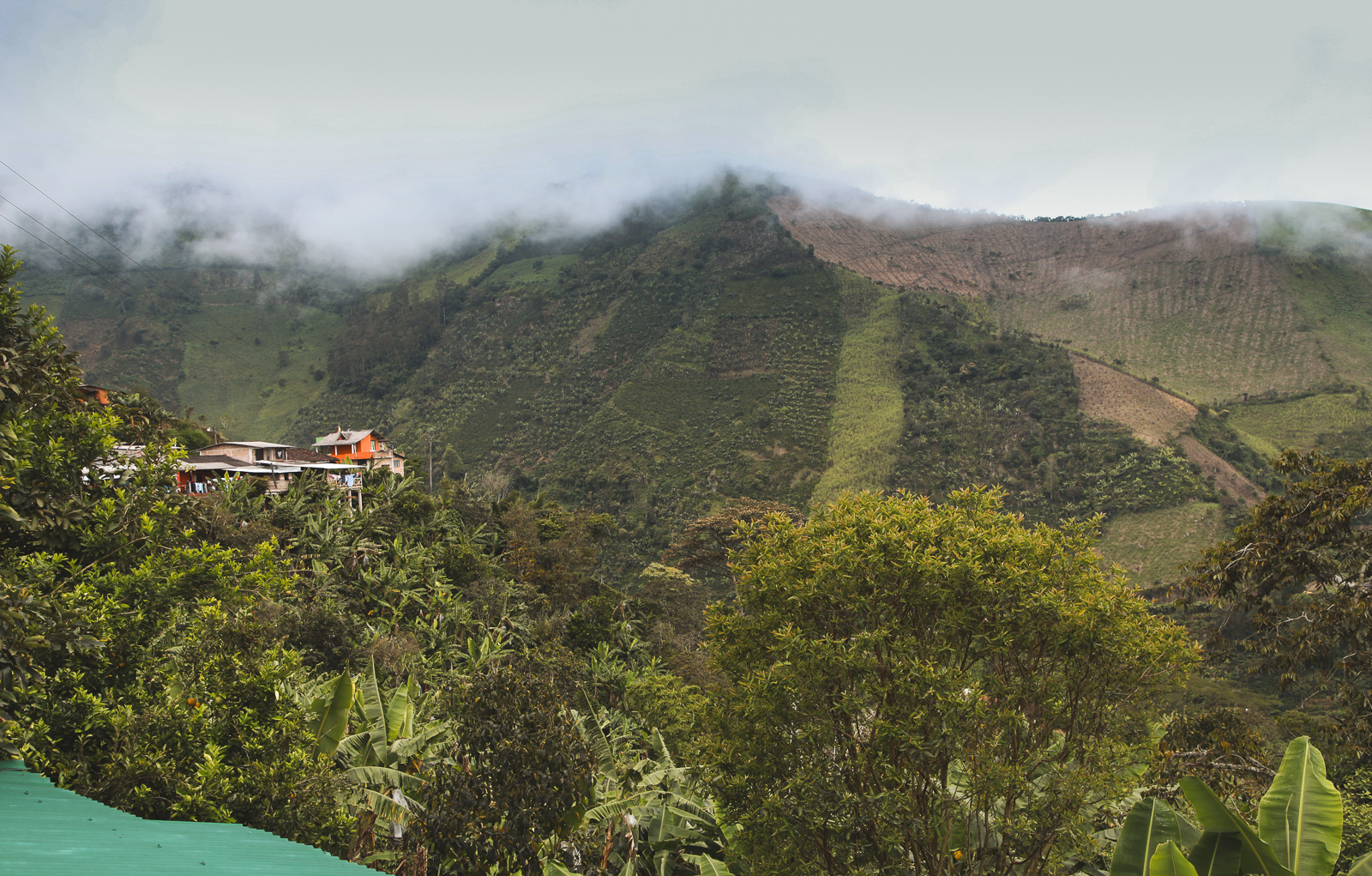 Kafija Kolumbija Brant Coffee