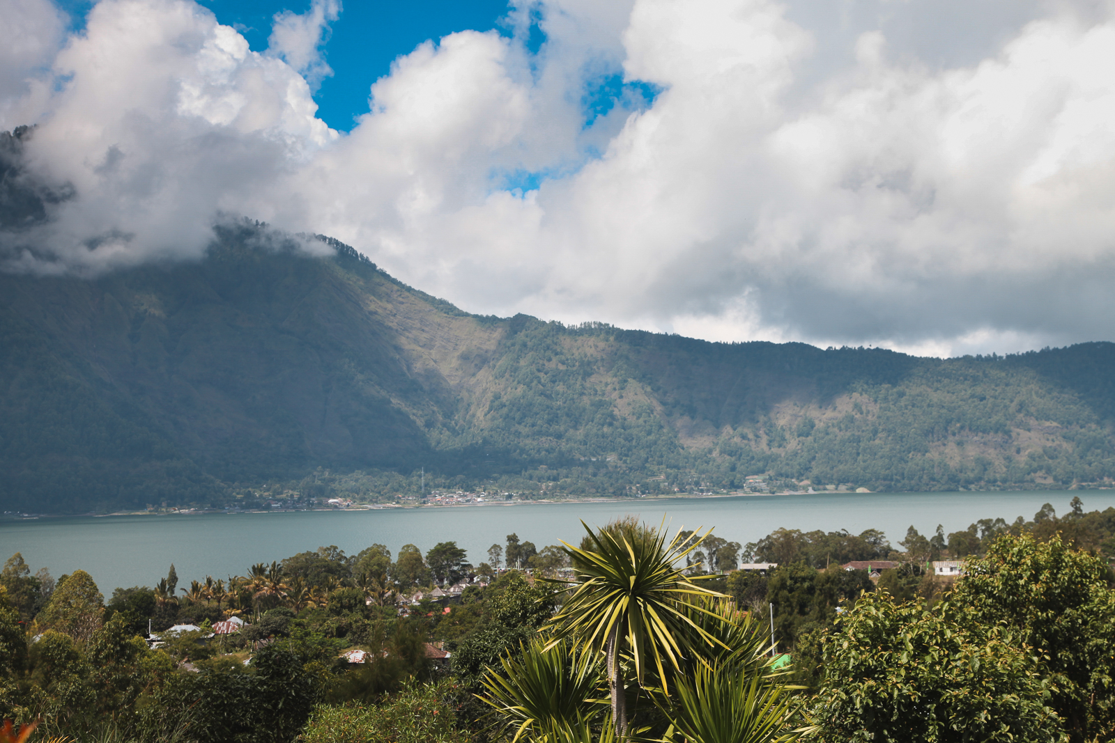 Brant Coffee Indonēzija Java